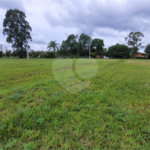 Loteamento Residencial no Condomínio Vila Pinhal do Broa.