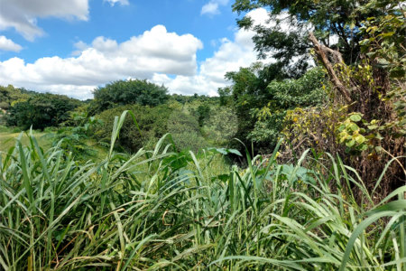 Terreno à venda em Abadia, Louveira, SP