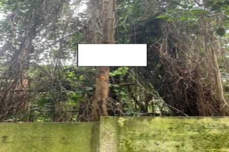 Terreno à venda em Jardim Ampliação, São Paulo, SP