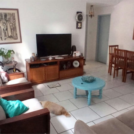 Apartamento Residencial à venda, Centro, São Vicente - AP1846.