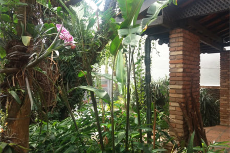 Casa à venda com 3 quartos, sendo 1 suíte, em Vila Cruzeiro, São Paulo, SP
