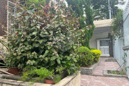 Casa à venda com 4 quartos, sendo 3 suítes,  em Jardim Franca, São Paulo, SP