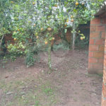Chácara à venda com 2 quartos em Estância Marília, Jarinu, SP