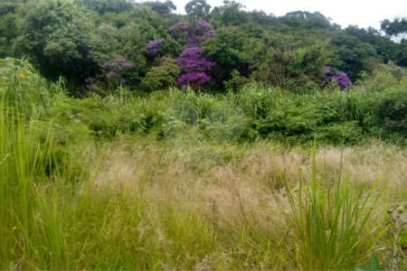 Loteamento à venda em Jardim Paulista, Atibaia, SP
