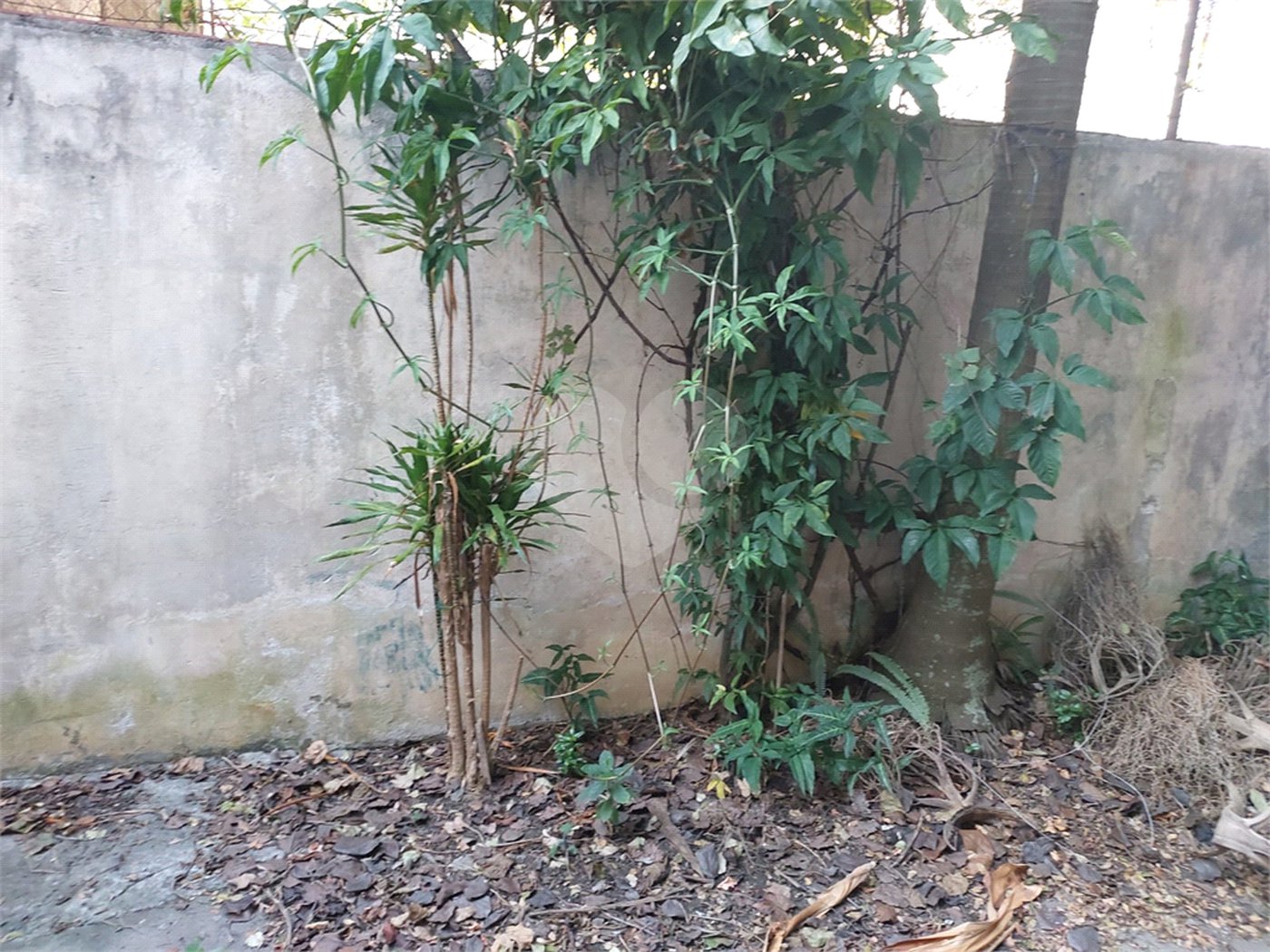 Terreno à venda ou para alugar em Perdizes, São Paulo, SP