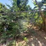 Sobrado à venda com 4 quartos em Vila Clarice, São Paulo, SP