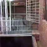 Casa à venda com 5 quartos em Jaçanã, São Paulo, SP