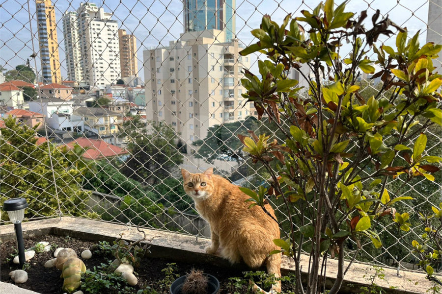 Apartamento à venda com 4 quartos, sendo 2 suítes, em Santana, São Paulo, SP
