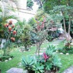 Sobrado à venda com 3 quartos em Vila Nova Cachoeirinha, São Paulo, SP