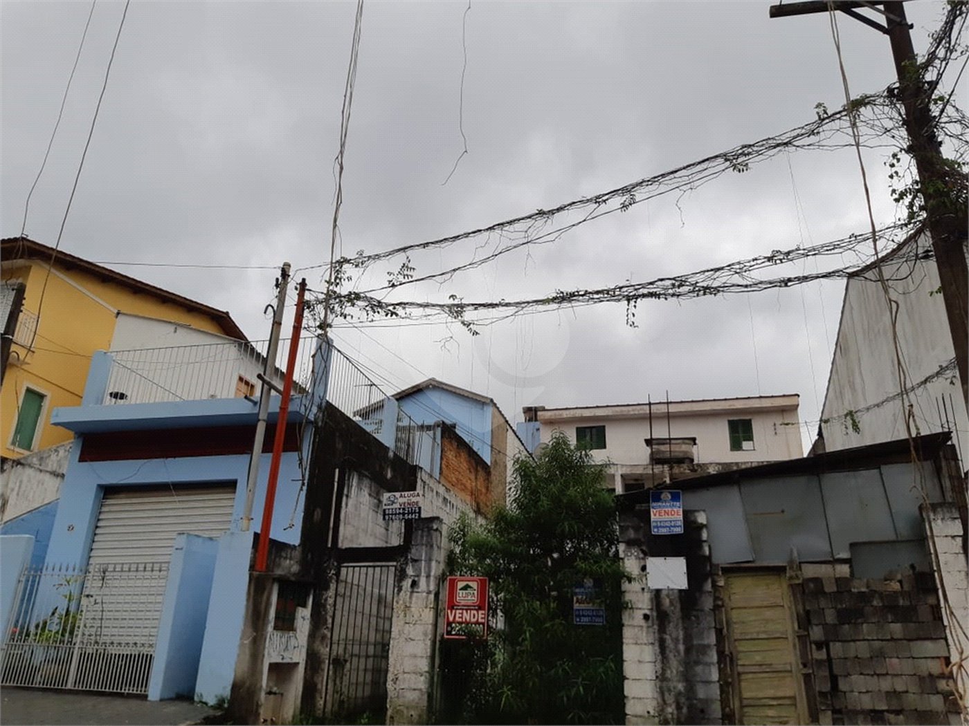 Terreno à venda em Horto Florestal, São Paulo, SP