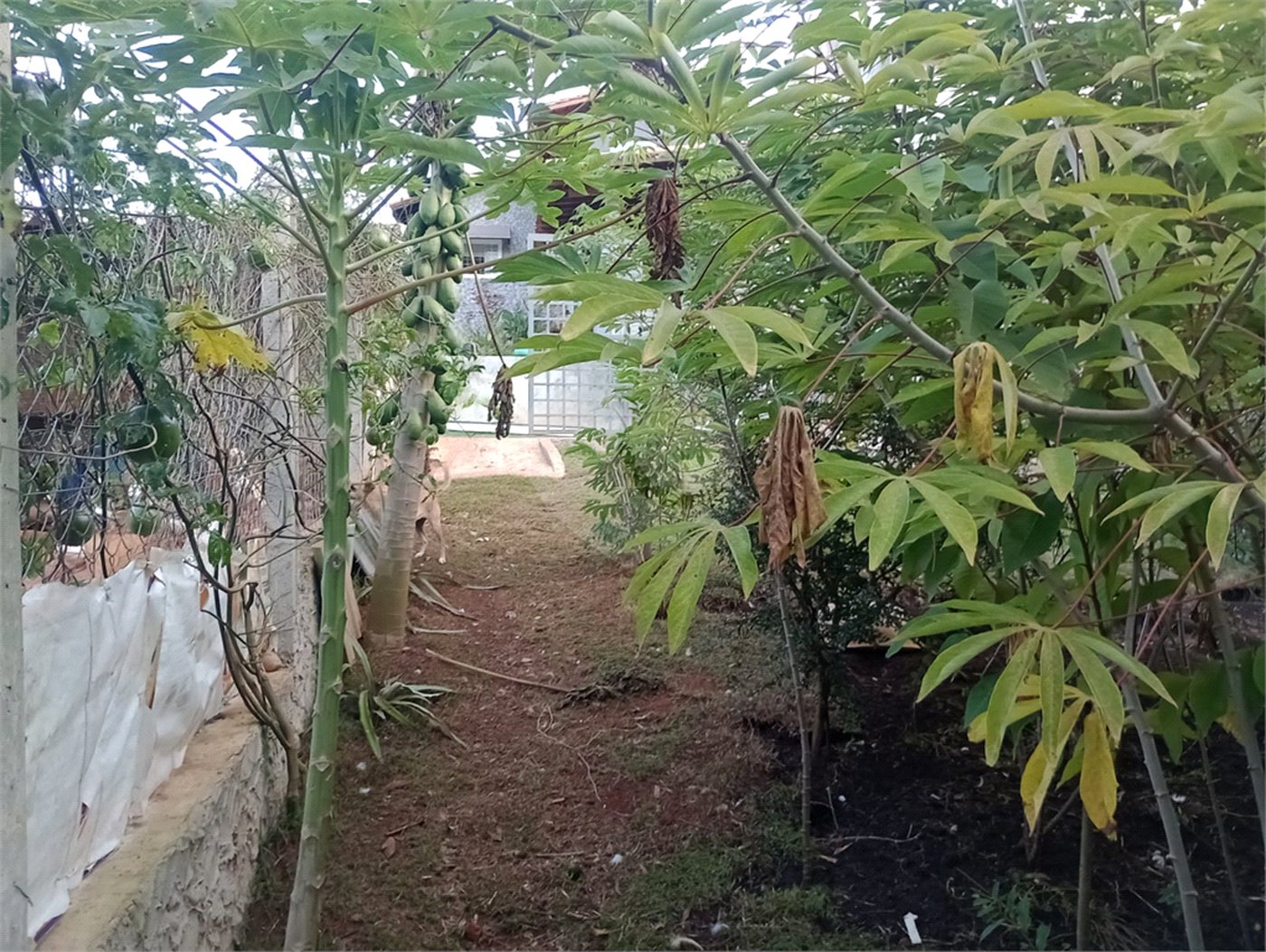 Chácara à venda com 5 quartos, sendo 1 suíte, em Jardim Marabá, Itapetininga, SP