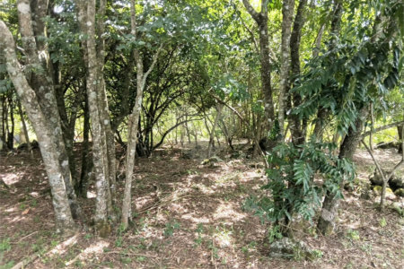 Terreno à venda em Planalto Verde, São Roque, SP