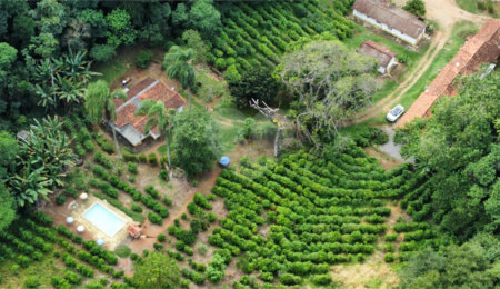 Área de Terra à venda no Centro, Bom Jesus dos Perdões, SP