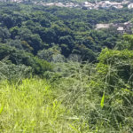 Terreno à venda em Tartaruga, Armação dos Búzios, RJ