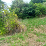 Terreno à venda em Parque dos Cafezais IV, Itupeva, SP