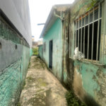 Casa à venda com 2 quartos em Vila Maria, São Paulo, SP