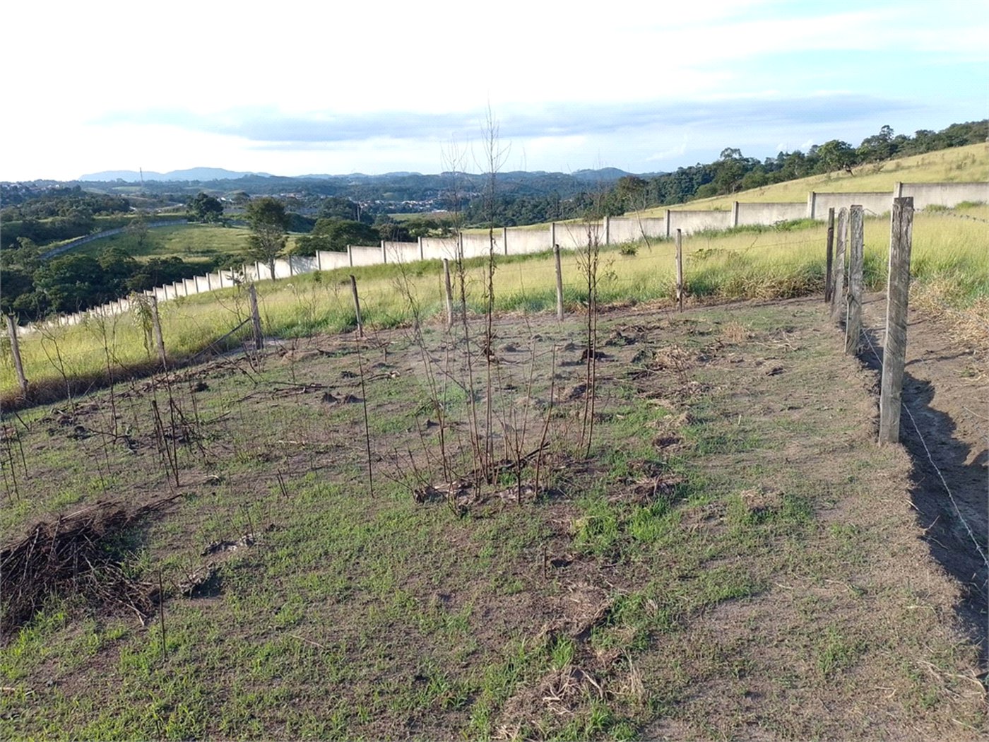 Terreno à venda em Jardim Aracy, Mogi das Cruzes, SP