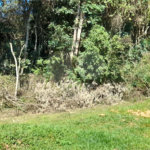 Terreno à venda em Serra da Cantareira, Mairiporã, SP