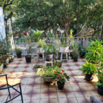 Casa à venda com 3 quartos em Jardim Bonfiglioli, São Paulo, SP