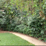 Apartamento à venda com 2 suítes em Parque do Morumbi, São Paulo, SP