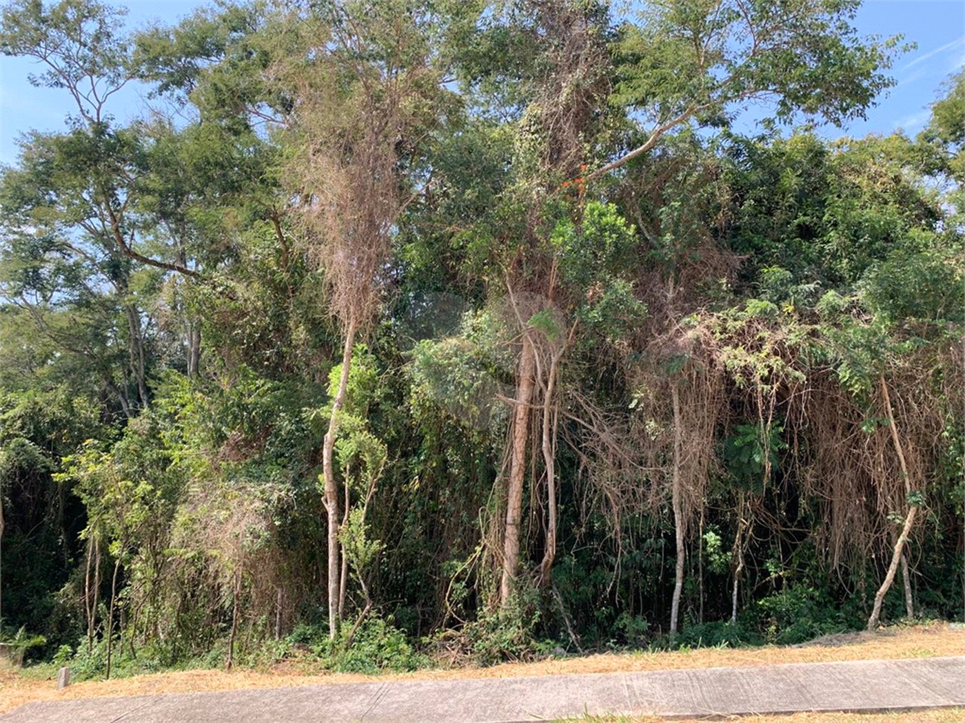 Casa à venda com 4 suítes no condomínio Reserva São Nicolau, Atibaia - SP