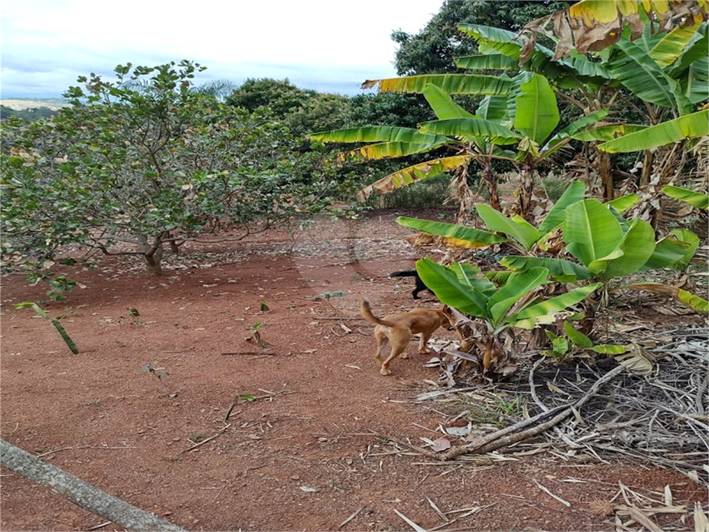 Terreno à venda em Chácara Fernão Dias, Bragança Paulista, SP