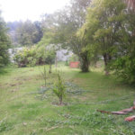 Terreno para alugar em Jardim Rene, São Roque, SP
