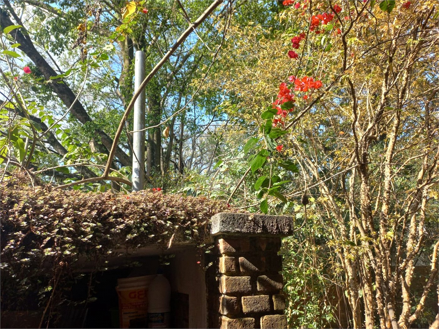 Casa à venda com 3 quartos, sendo 2 suítes, em Morumbi, São Paulo, SP