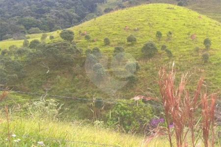 Hotel à venda com 7 quartos, sendo 4 suítes, no Centro, Soledade de Minas, MG