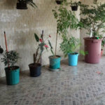 Sobrado à venda com 3 quartos em Vila Maria Alta, São Paulo, SP