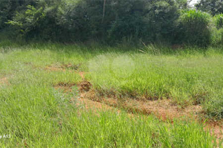 Terreno à venda ou para alugar em Cruz das Almas, Itu, SP