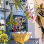 Casa à venda com 3 suítes no condomínio Jardim Residencial Dona Maria José, Indaiatuba - SP