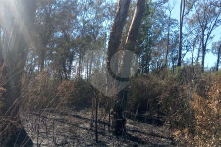 Terreno à venda em Caete (mailasqui), São Roque, SP