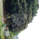 Casa à venda com 4 suítes em Jardim Residencial Santa Luiza, Atibaia, SP