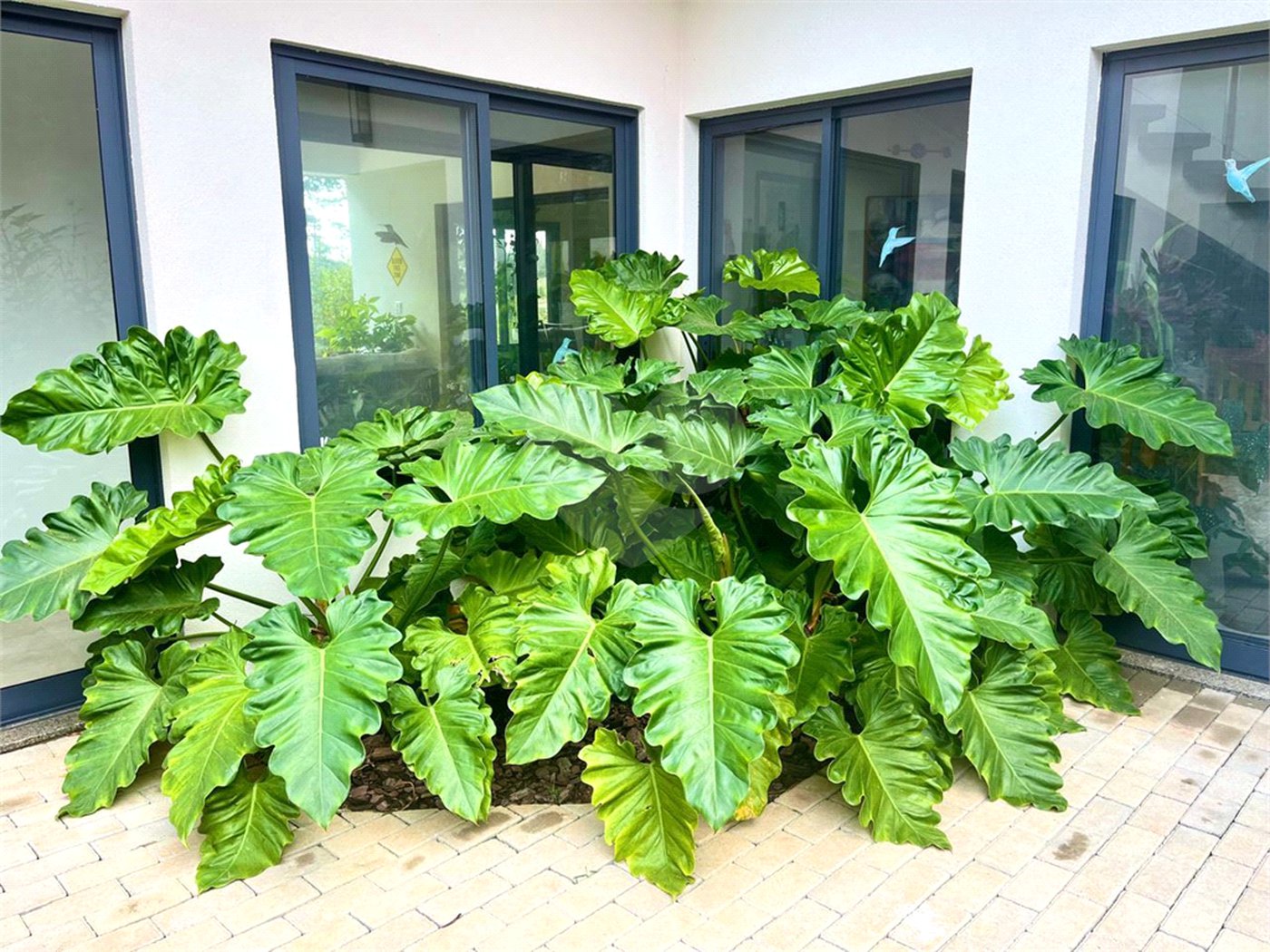 Casa à venda com 5 suítes no condomínio Terras de São José, Itu - SP