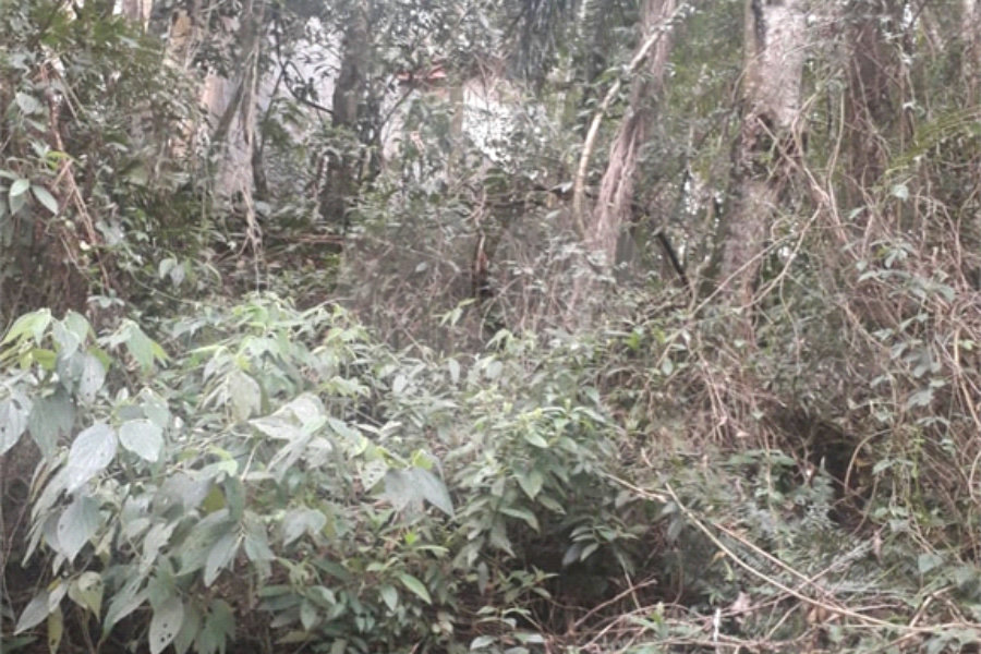 Terreno à venda em Suasalito, Mairiporã, SP