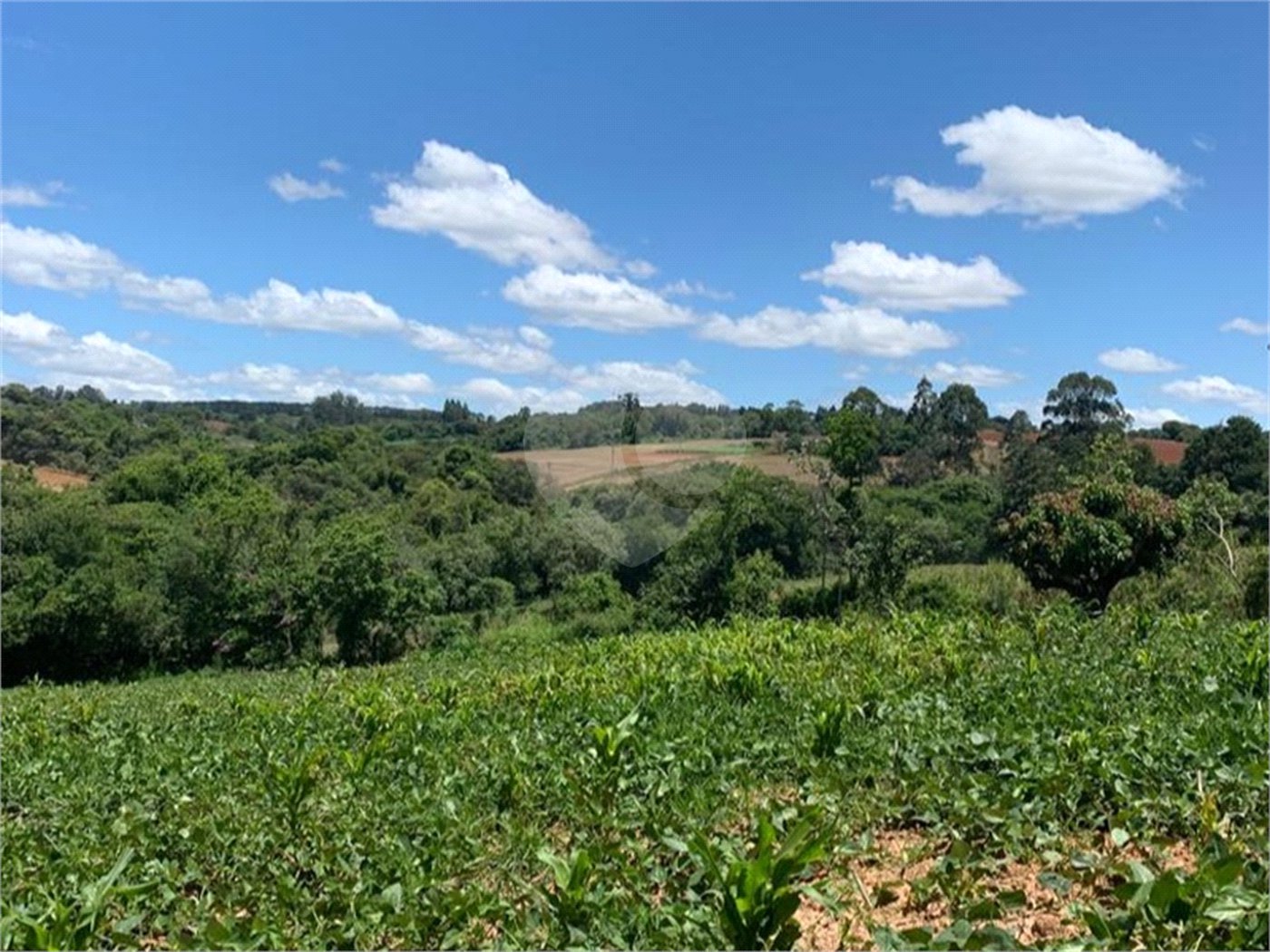 Área de Terra à venda em Cristóvão, Araçoiaba da Serra, SP
