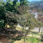 Casa para alugar com 4 quartos, sendo 1 suíte, em Chácara Cabuçu, Guarulhos, SP