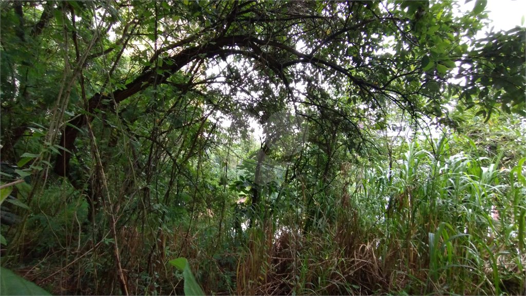 Terreno à venda em Vila Suzana, São Paulo, SP