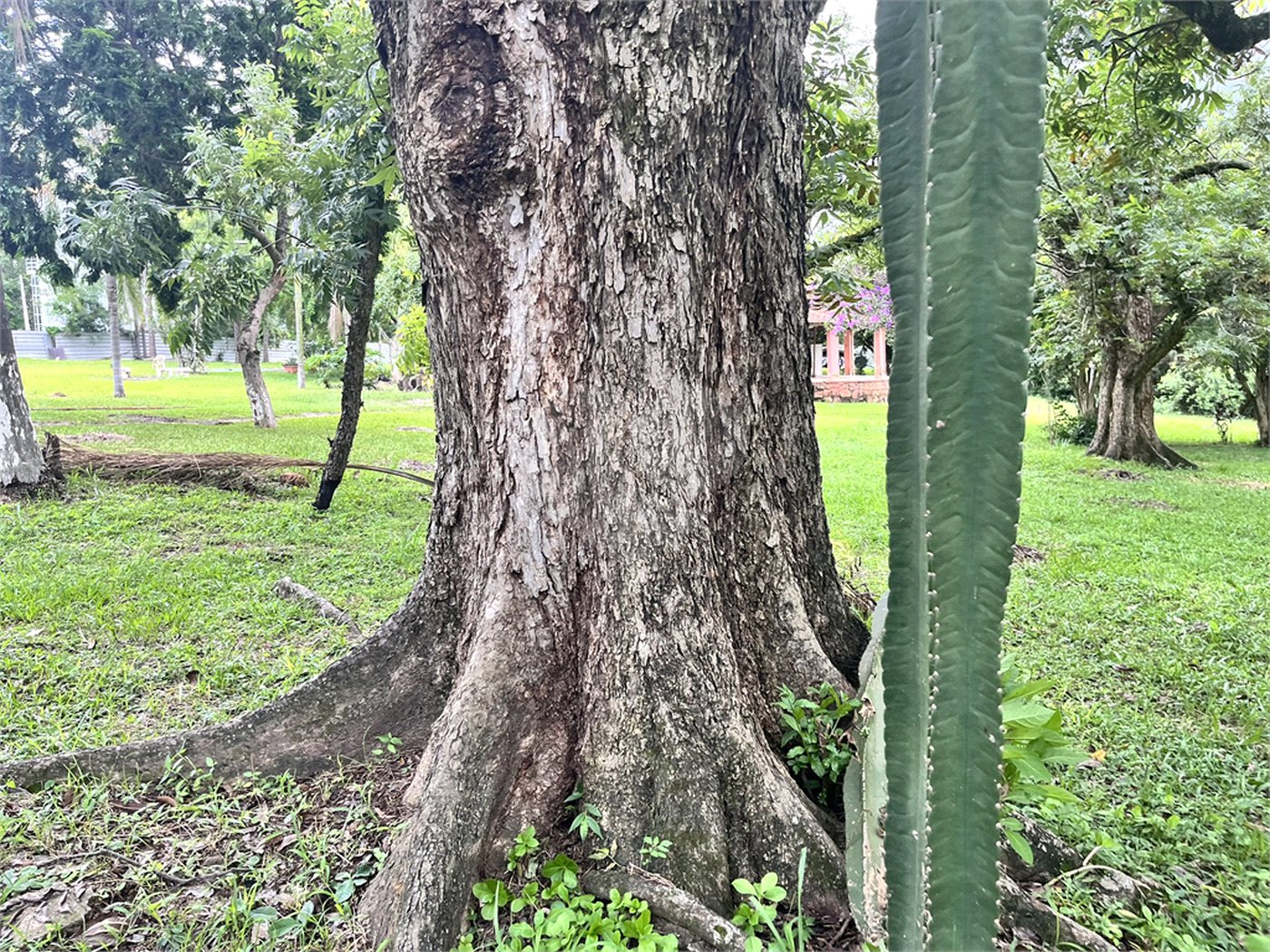 Terreno à venda em Loteamento Terras de São Pedro e São Paulo, Salto, SP