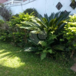 Sobrado à venda ou para alugar com 5 quartos, sendo 3 suítes, em Jardim Marajoara, São Paulo, SP