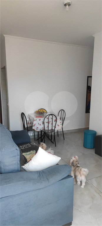 Apartamento à venda com 2 quartos em Jardim Pedroso, Indaiatuba, SP