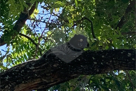 Terreno à venda no condomínio Parque dos Resedás, Itupeva - SP