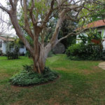 Casa Térrea à venda com 5 quartos em Brooklin, São Paulo, SP