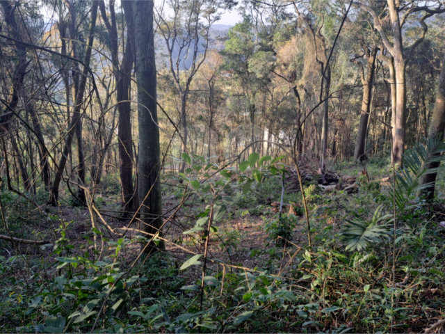 Terreno à venda em Serra da Cantareira, Mairiporã, SP