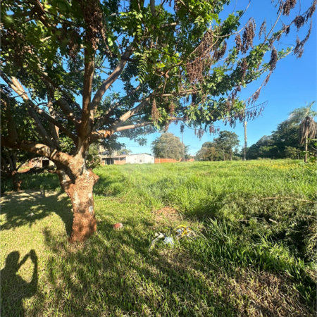 Terreno à venda em Pedro Juan Caballero, Amambay