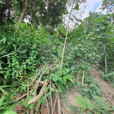 Loteamento à venda em Jardim Amália, São Paulo, SP
