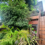 Casa Térrea à venda com 4 quartos, sendo 1 suíte,  em Vila Nova Mazzei, São Paulo, SP