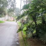 Terreno à venda no condomínio Alpes da Cantareira, Mairiporã - SP