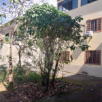 Casa à venda ou para alugar com 4 quartos, sendo 2 suítes, em Campo Grande, Rio de Janeiro, RJ